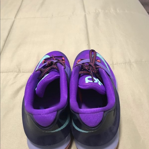 KD 5.5y - Picture 4 of 5